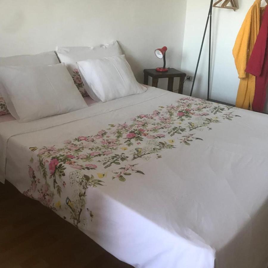 Tenuta Palladini 5 Chilometri Da Porto Cesario 莱韦拉诺 外观 照片